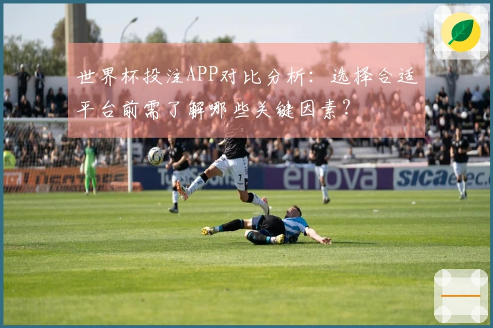 世界杯投注APP对比分析：选择合适平台前需了解哪些关键因素？