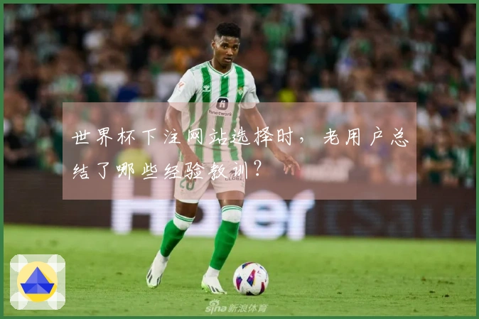 世界杯下注网站选择时，老用户总结了哪些经验教训？