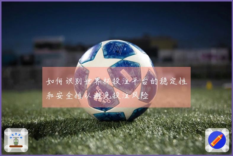 如何识别世界杯投注平台的稳定性和安全性以避免投注风险