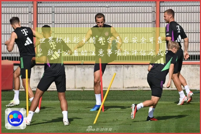 世界杯体彩竞猜平台是否安全可靠？新手必看的注意事项和评估方式